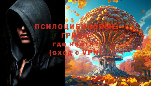эйфоретик Алзамай