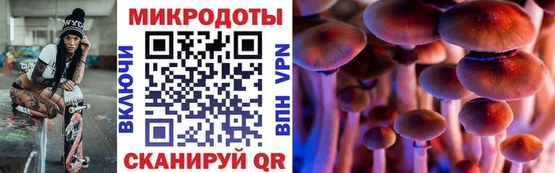 mega ссылка Динская Галлюциногенные грибы мицелий