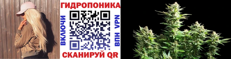 Бошки марихуана индика  Динская 